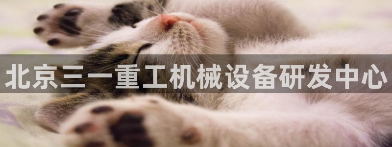 顺盈娱乐彩票怎么样