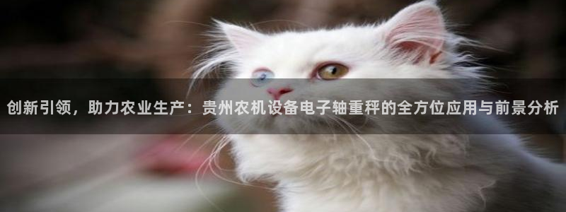 顺盈娱乐代理怎么样了啊