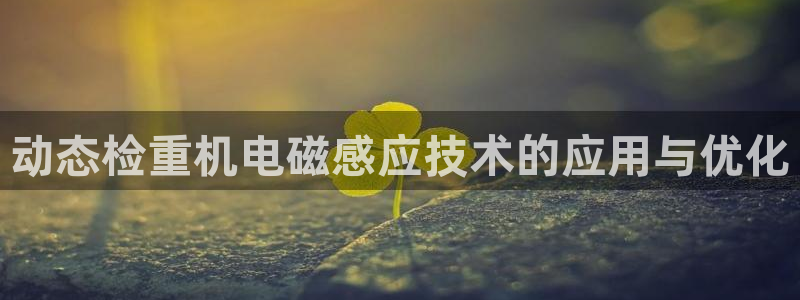 顺盈娱乐主管是谁
