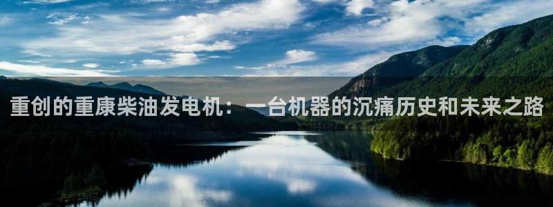 顺盈娱乐注册资金多少：重创的重康柴油发电机：一台机器的沉痛历
