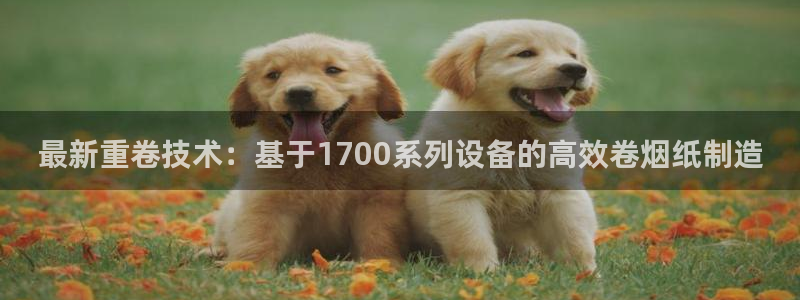 盈顺休闲娱乐室在哪里：最新重卷技术：基于1700系列设备的高