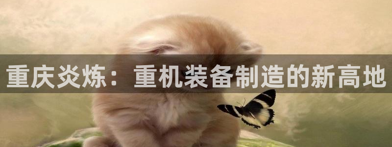 顺盈娱乐平台注册地址：重庆炎炼：重机装备制造的新高地