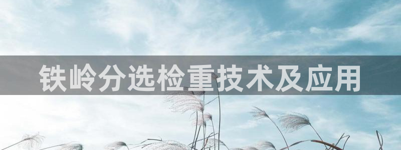 顺盈娱乐注册楚判官333OO：铁岭分选检重技术及应用