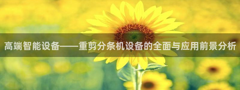 顺盈娱乐最高代理是谁：高端智能设备——重剪分条机设备的全面与