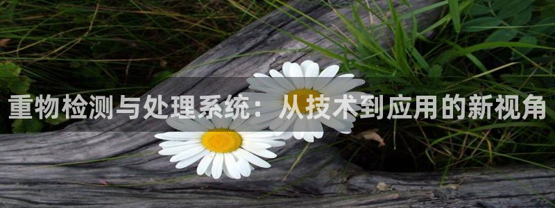 顺盈娱乐主管去判官333OO:重物检测与处理系统:从技术到应