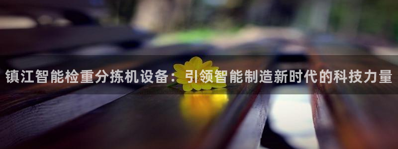 顺盈娱乐是什么:镇江智能检重分拣机设备:引领智能制造新时代的