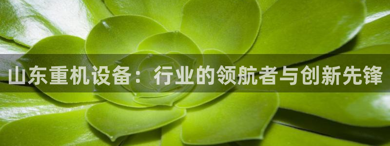 顺盈娱乐注册口究333OO
