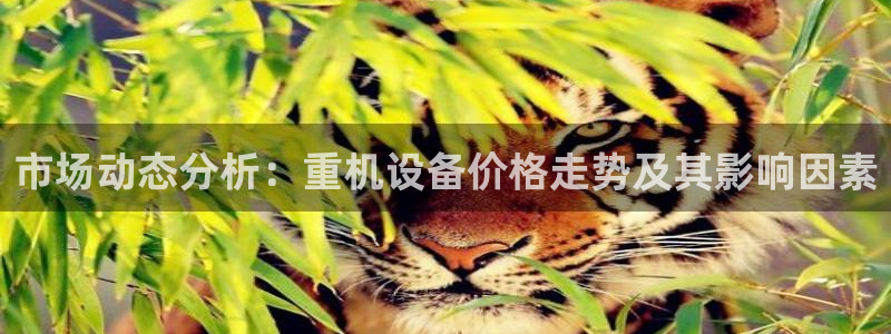 顺盈娱乐总代理是谁：市场动态分析：重机设备价格走势及其影响因