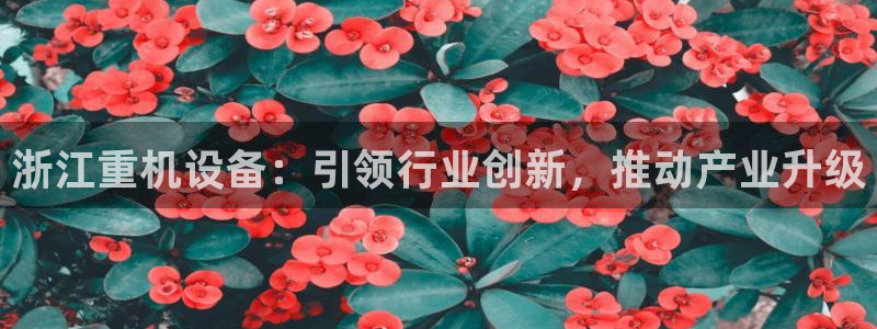 顺盈娱乐下载手机版