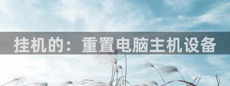 顺盈娱乐登录平台:挂机的:重置电脑主机设备