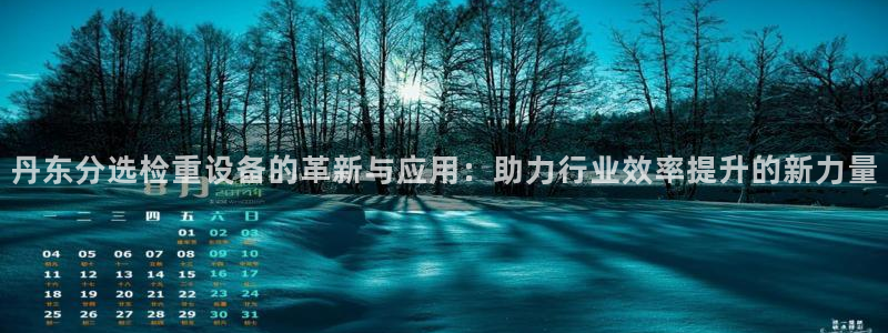 顺盈娱乐登录地址:丹东分选检重设备的革新与应用:助力行业效率