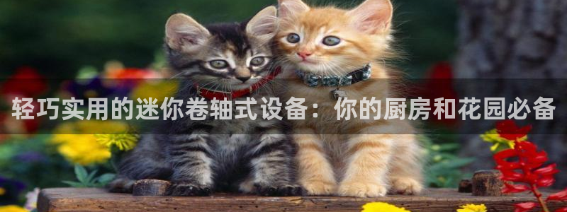 顺盈娱乐主管监判官333OO:轻巧实用的迷你卷轴式设备:你的
