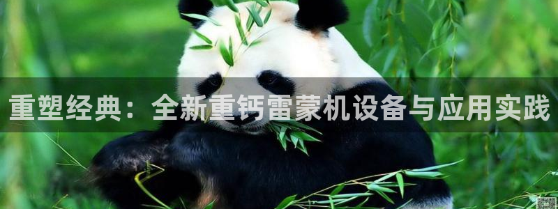 顺盈2娱乐登录：重塑经典：全新重钙雷蒙机设备与应用实践