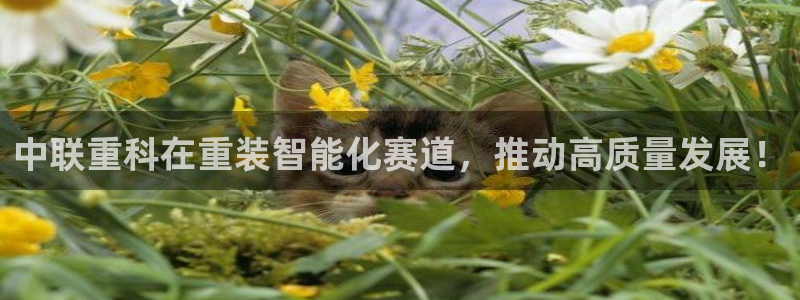 盈顺休闲娱乐室：中联重科在重装智能化赛道，推动高质量发展！