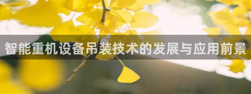 顺盈2娱乐注册：智能重机设备吊装技术的发展与应用前景