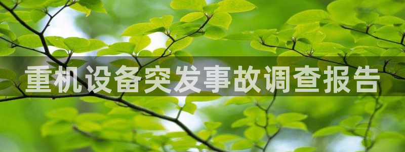 顺盈娱乐平台会黑人吗