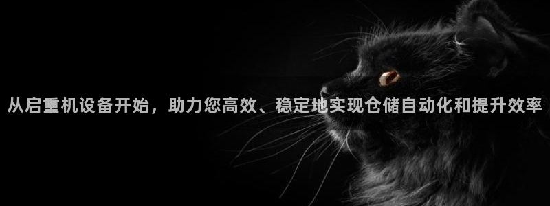 顺盈娱乐登录地址是什么：从启重机设备开始，助力您高效、稳定地