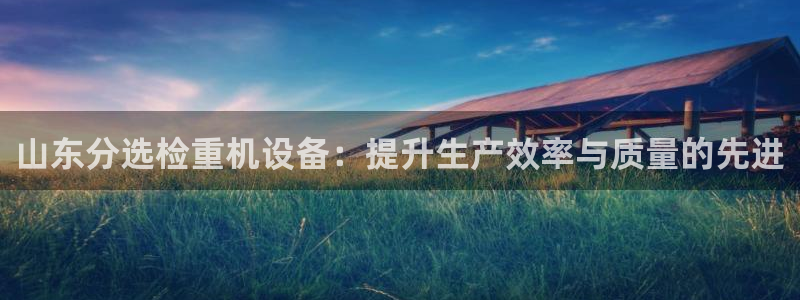 顺盈娱乐场究7276O：山东分选检重机设备：提升生产效率与质