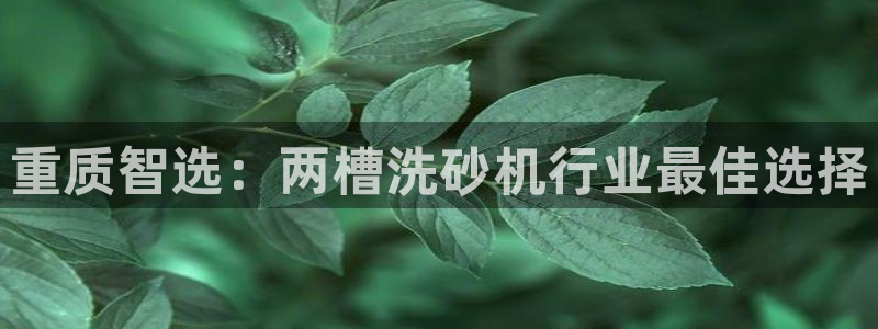 顺盈娱乐棋牌官网地址：重质智选：两槽洗砂机行业最佳选择