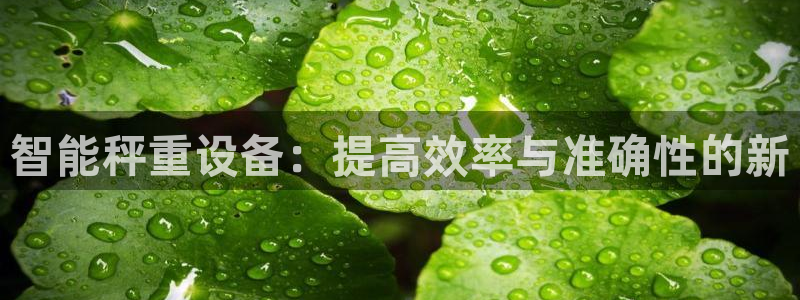 顺盈娱乐是什么：智能秤重设备：提高效率与准确性的新