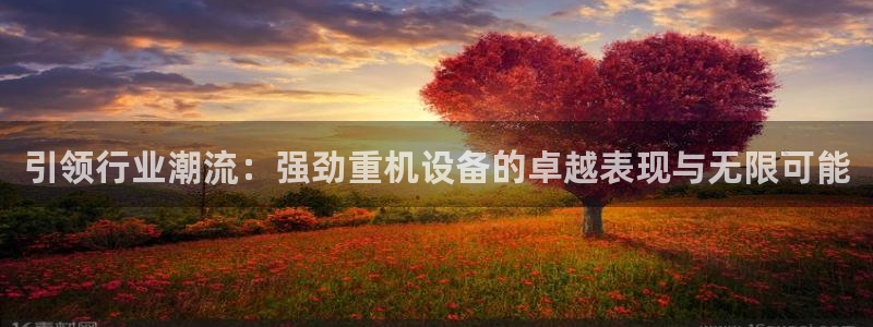 顺盈娱乐结究7276O：引领行业潮流：强劲重机设备的卓越表现