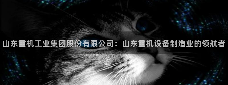 顺盈广场娱乐：山东重机工业集团股份有限公司：山东重机设备制造