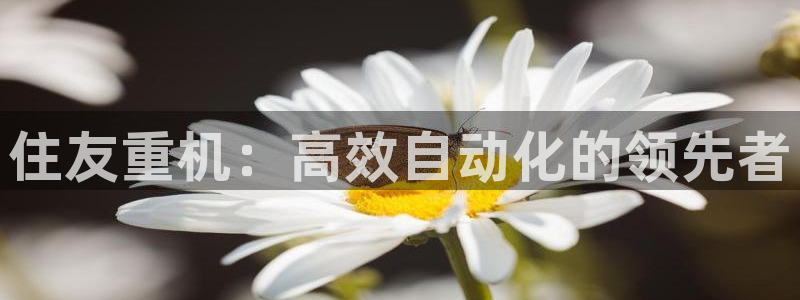 清远顺盈娱乐城：住友重机：高效自动化的领先者