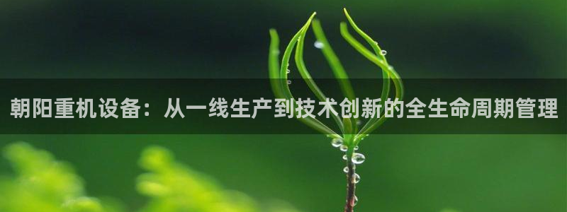 盈顺娱乐休闲室地址：朝阳重机设备：从一线生产到技术创新的全生