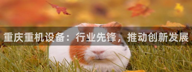 顺盈娱乐主管是谁