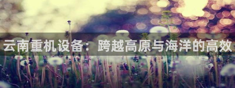 顺盈娱乐下载官网最新版