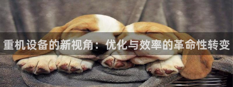 顺盈娱乐主管去判官333OO：重机设备的新视角：优化与效率的