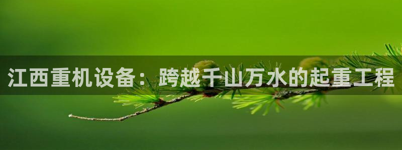 清远顺盈娱乐：江西重机设备：跨越千山万水的起重工程
