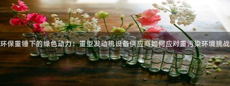 顺盈广场娱乐会所地址：环保重锤下的绿色动力：重型发动机设备供
