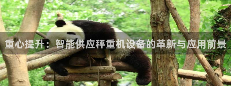 清远顺盈娱乐酒店：重心提升：智能供应秤重机设备的革新与应用前
