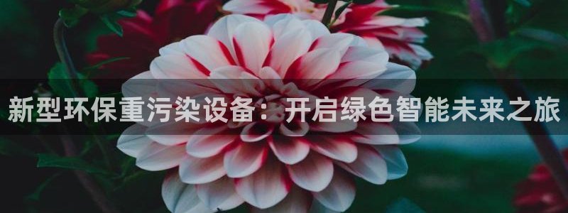 顺盈娱乐平台登录