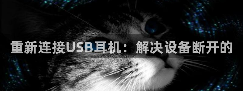 顺盈娱乐注册口究333OO：重新连接USB耳机：解决设备断开