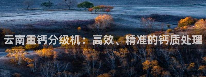 顺盈娱乐平台注册地址：云南重钙分级机：高效、精准的钙质处理