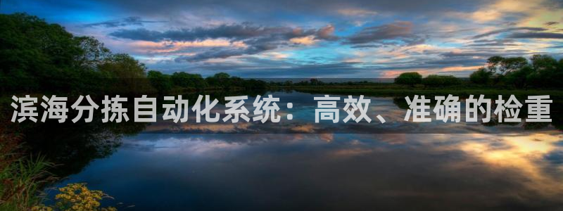 顺盈娱乐主管右原判官333OO：滨海分拣自动化系统：高效、准