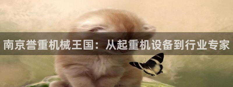 盈顺休闲娱乐室优惠团购：南京誉重机械王国：从起重机设备到行业