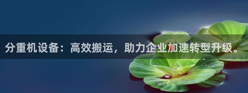 盈顺休闲娱乐室：分重机设备：高效搬运，助力企业加速转型升级。