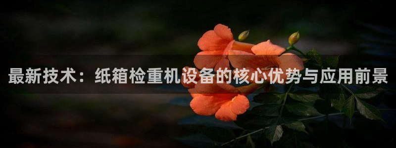 顺盈娱乐解答7276o：最新技术：纸箱检重机设备的核心优势与