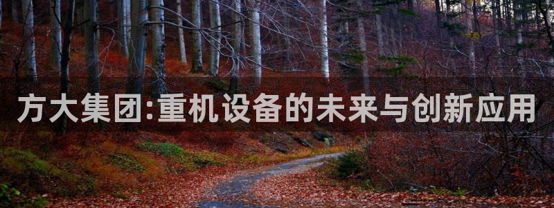 顺盈娱乐登录网址：方大集团:重机设备的未来与创新应用