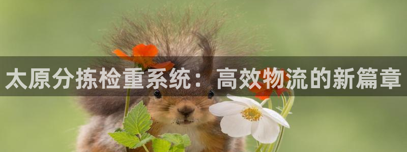 顺盈娱乐注册助判官333OO：太原分拣检重系统：高效物流的新