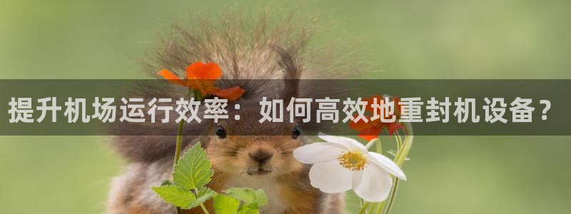 顺盈娱乐平台下载安装：提升机场运行效率：如何高效地重封机设备