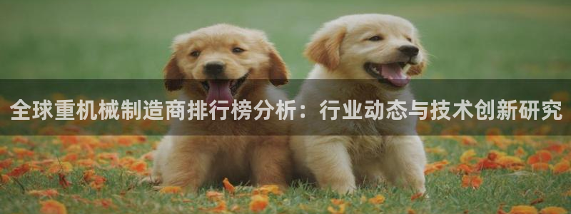 顺盈娱乐找382223