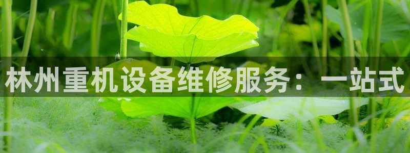 顺盈娱乐团购：林州重机设备维修服务：一站式