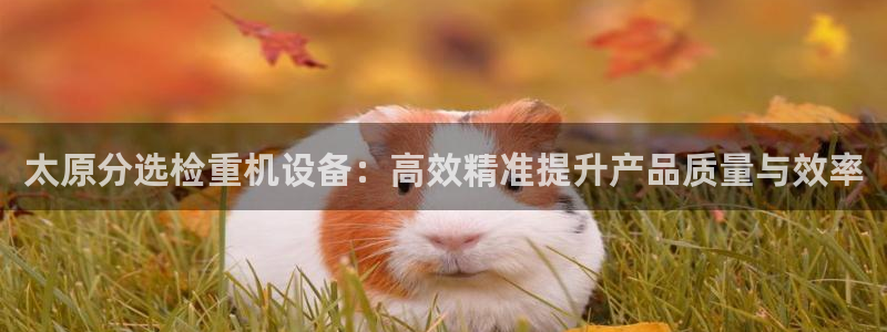 顺盈娱乐注册口究333OO