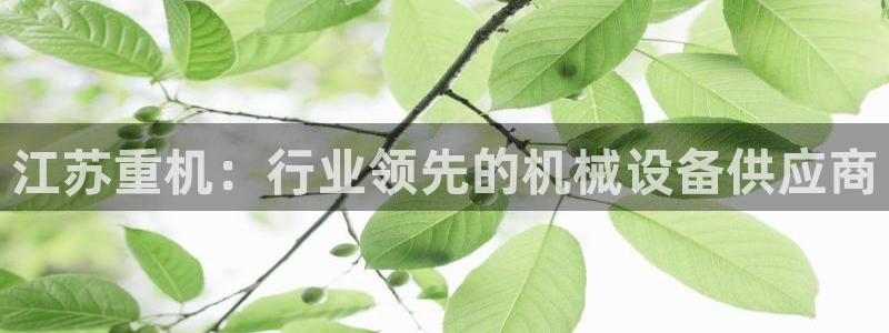 顺盈彩票娱乐：江苏重机：行业领先的机械设备供应商