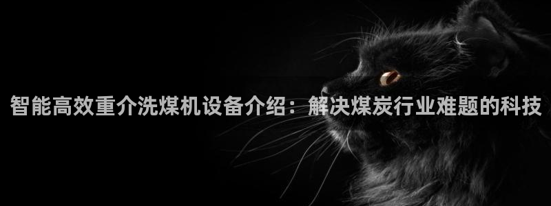 顺盈娱乐下载官网最新版：智能高效重介洗煤机设备介绍：解决煤炭