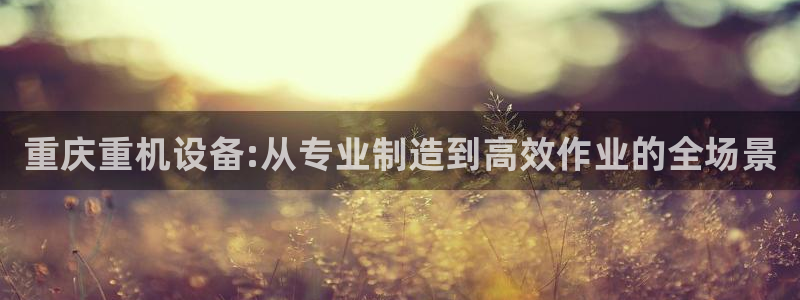 顺盈娱乐西班牙28房：重庆重机设备:从专业制造到高效作业的全